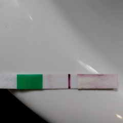 10 days late..... possible faint positive??? 