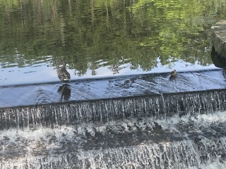 Come and tell me your dull and unexciting news 25: Calmly through the day 