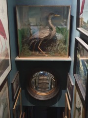 What does your hallway look like? Pics please!