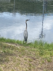 Come and tell me your dull and unexciting news 25: Calmly through the day 