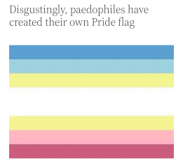 LGBTQ etc revised flag.