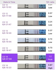 Can you ovulate before LH surge? Confusing BBT chart
