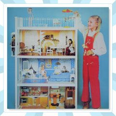 What was the toy you always wished you could have as a child?