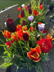 Autistic women assemble!