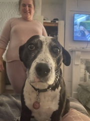 So devastated to say goodbye to my girl