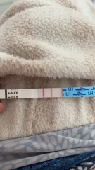 Clear blue ovulation sticks??