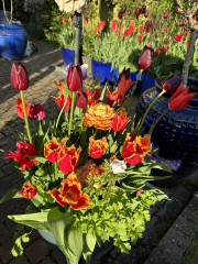 Autistic women assemble!