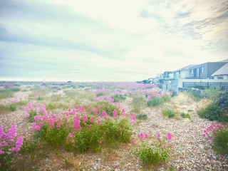 Relocating to East Sussex - advice needed pls