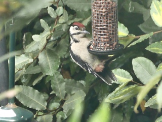 Come and tell me your dull and unexciting news 25: Calmly through the day 