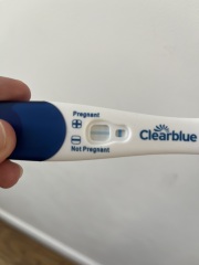 10dpo