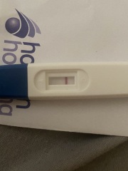 pregnancy test!
