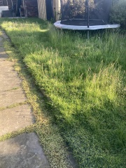 Anyone not cutting their grass - how's it going?
