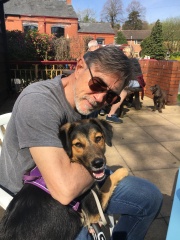 Positive Romanian rescue story