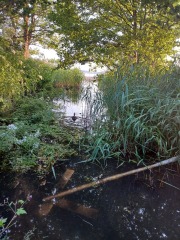 Come chat hiking with me!