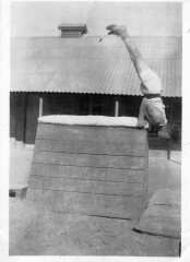 In what language does 'busty' mean big or tall?