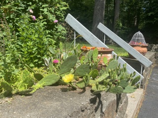 Come and tell me your dull and unexciting news 25: Calmly through the day 