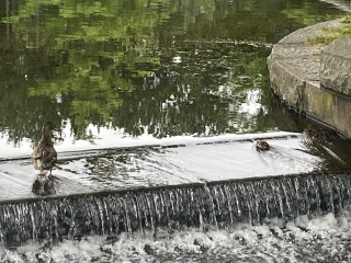 Come and tell me your dull and unexciting news 25: Calmly through the day 