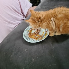New kitten ! Name help!