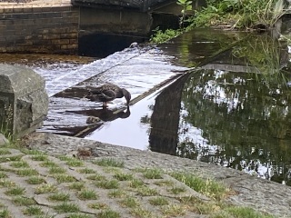 Come and tell me your dull and unexciting news 25: Calmly through the day 