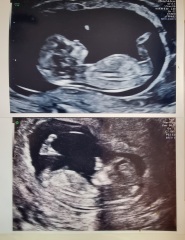 Nub theory prediction wrong?