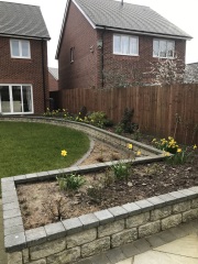 I bought 160 bare root  perennials for £40!
