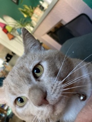 My new pal!