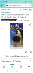 Help - fleas in the house!