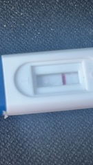 Hi are these positive or am I crazy