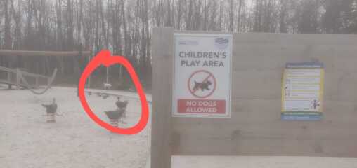 Ignoring "No Dogs" sign