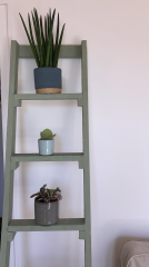 I'm starting saxenda this week. 