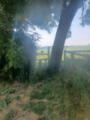 Come chat hiking with me!