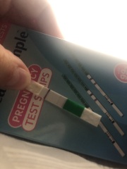 Evap line