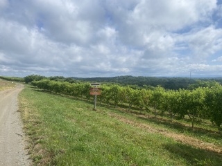 Come and tell me your dull and unexciting news 25: Calmly through the day 