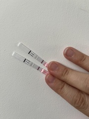 10dpo
