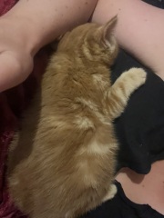 Meet our new addition!