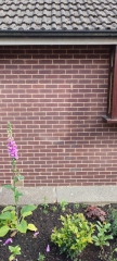 What colour windows?