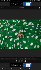 Royal Style and Beauty: Trooping forward - colour glitter and style but more tiaras may take a while..