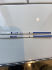 Are these Evaps?
