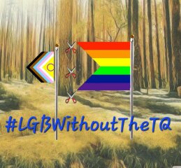 LGBTQ etc revised flag.