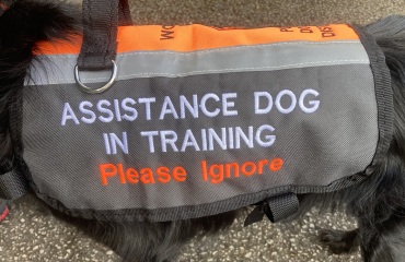 To think this doesn’t need explanation…