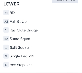 Frustrated with little progress (programme attached)