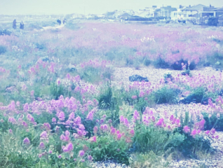 Relocating to East Sussex - advice needed pls