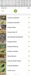 To tell you about the Merlin app - Shazam for birds?