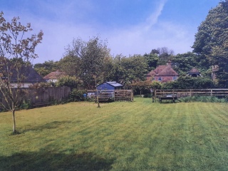 Would you hire a holiday cottage that had a beehive in the garden? 