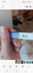 Confusing symptoms. Help!