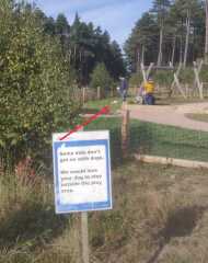 Ignoring "No Dogs" sign