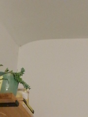 How do you get rid of those skinny spiders?