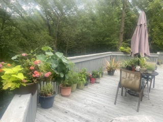 Come and tell me your dull and unexciting news 25: Calmly through the day 