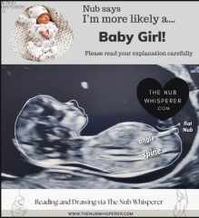 Nub theory prediction wrong?