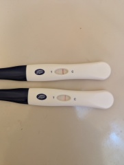 TTC February 2024 babies